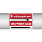 brady_267796
