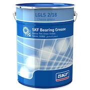 skf_lgls218