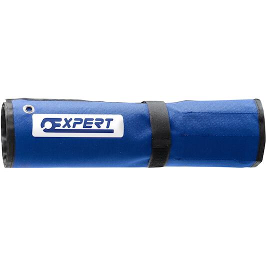 expert_e110313