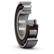 skf_n322ecp