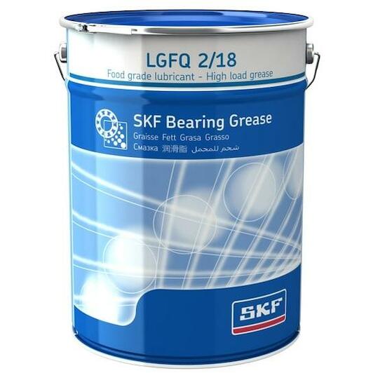 skf_lgfq218