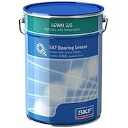skf_lgwm25