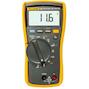 fluke_2583601_2