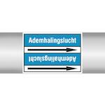 brady_267908