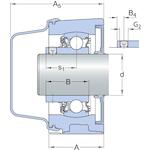 skf_p2bc25m_cpss_dfh_2