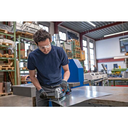 bosch_0601926300