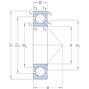 skf_7310begaph_2