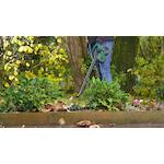 bosch_06008a0601