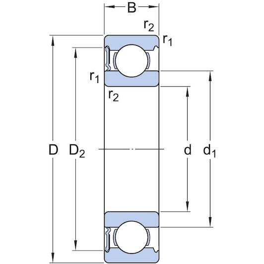 skf_6009_rs1_2