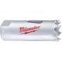 milwaukee_4932464673