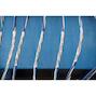 brady_032148_6