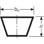 conti_220x6300_2