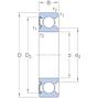 skf_6005_rsh_2