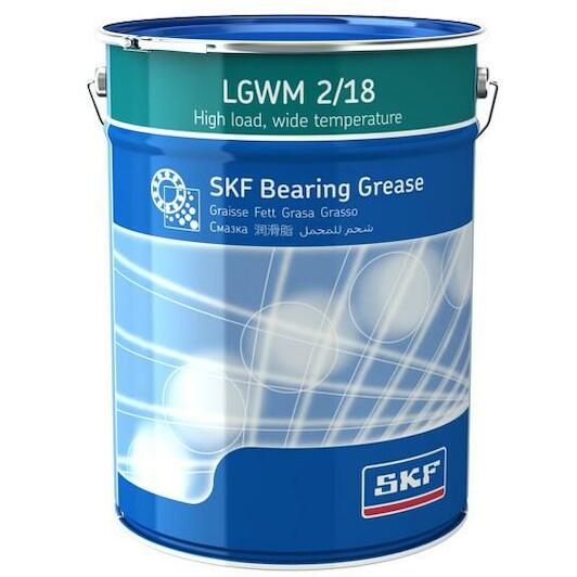 skf_lgwm218