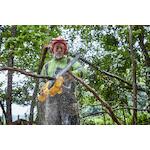 dewalt_dcmcs575n_xj_5