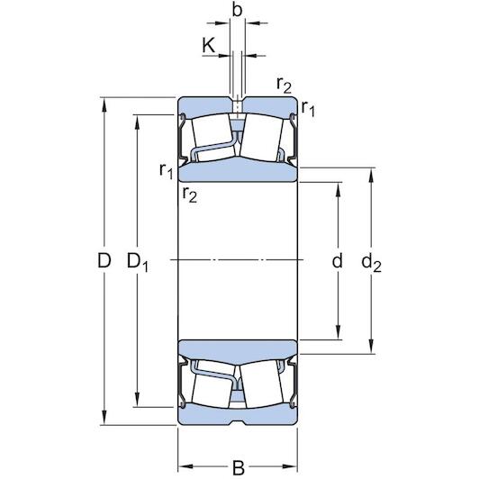 skf_bs2_2218_2rsvt143_2