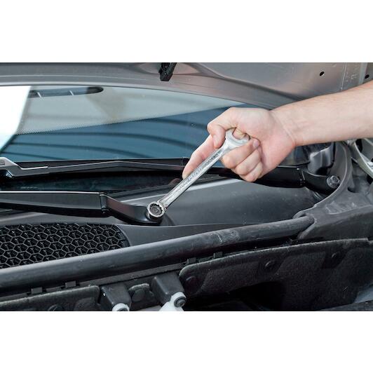 expert_e113211