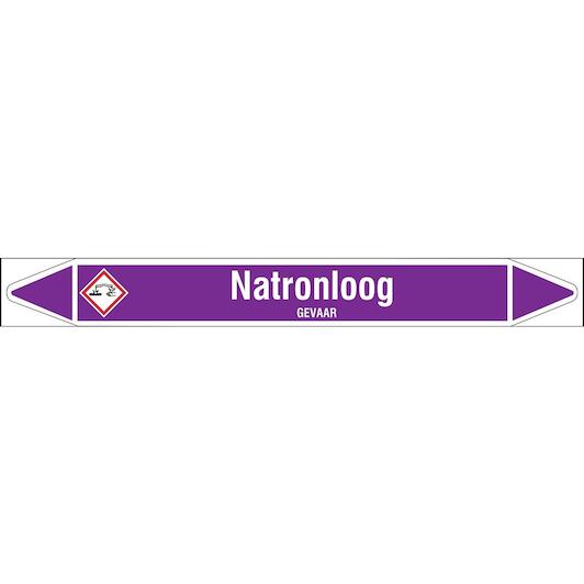 brady_n003950