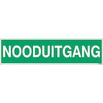 brady_253304