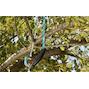 gardena_00691_20