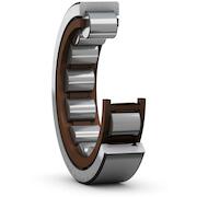 skf_rnu204ecp