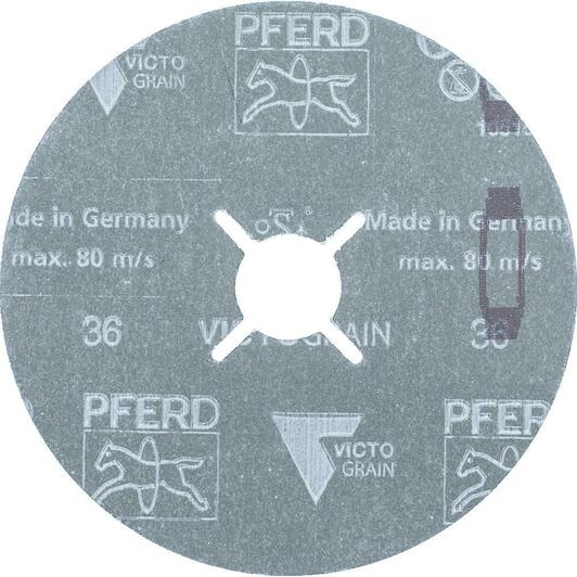 pferd_64279013