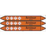 brady_n006395