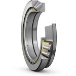 skf_29248