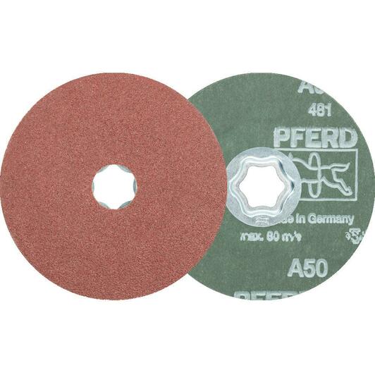 pferd_64190005