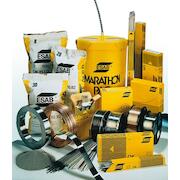 esab_1v00300300