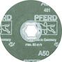 pferd_64190005_2