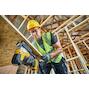 dewalt_dcs335p2_qw
