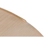 festool_491666