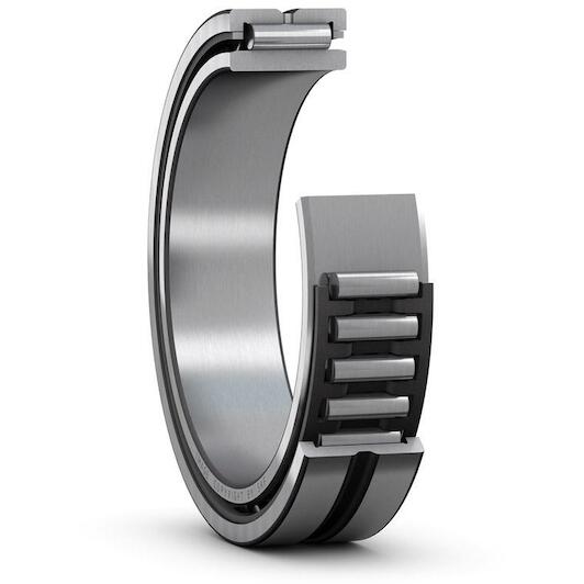 skf_na4901