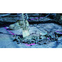 bosch_2608690003_5