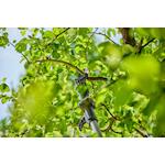 gardena_14774_55