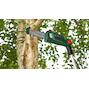 bosch_06008b3101