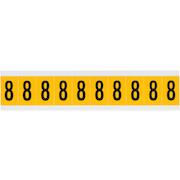 brady_015308