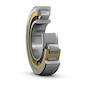 skf_nu1019ml