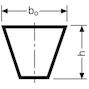conti_spa3182_2