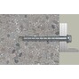 fischer_536866_8