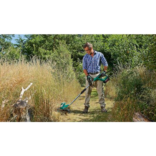 bosch_0600878n03