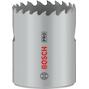 bosch_2608901507