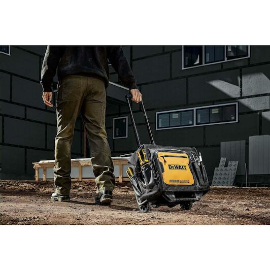 dewalt_dwst60107_1
