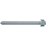 fischer_50262