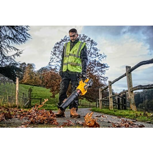 dewalt_dcmba572x1_qw