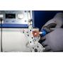 pferd_44650333_2
