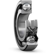 skf_6009_rs1