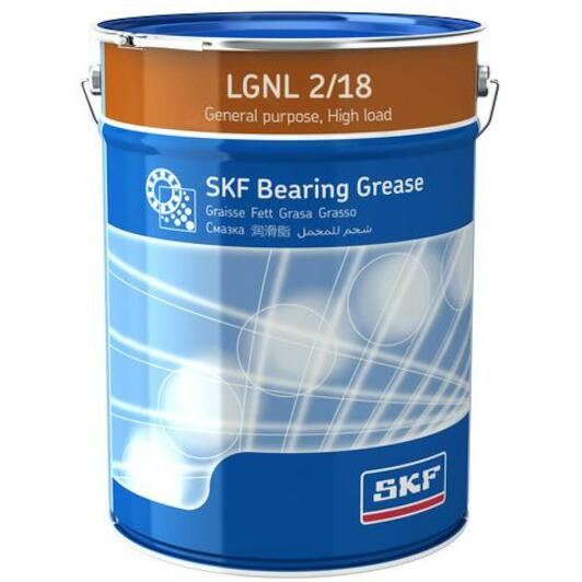 skf_lgnl218
