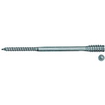 fischer_59061